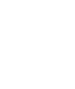 El Nidu - Desarrollo de Proyectos Audiovisuales